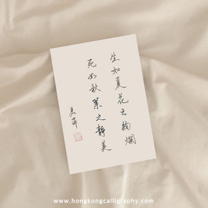 萍園書法硬筆班 (入門班)