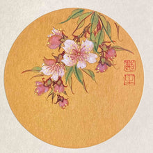 Load image into Gallery viewer, 國畫班 （入門 二）

