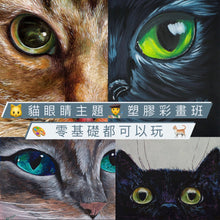 Load image into Gallery viewer, 卡通與貓眼睛主題 塑膠彩畫班
